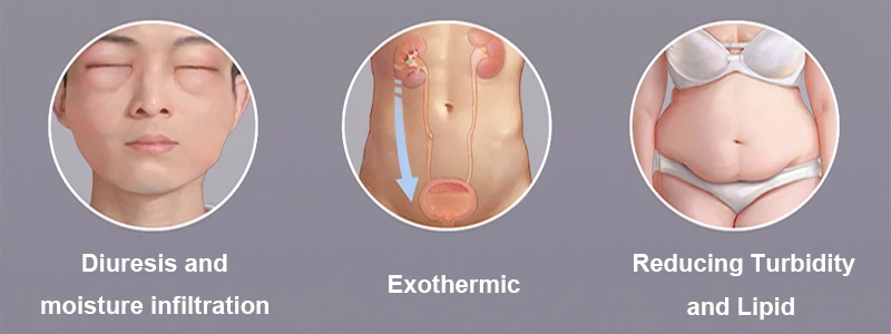 Purpose of alisma extract powder